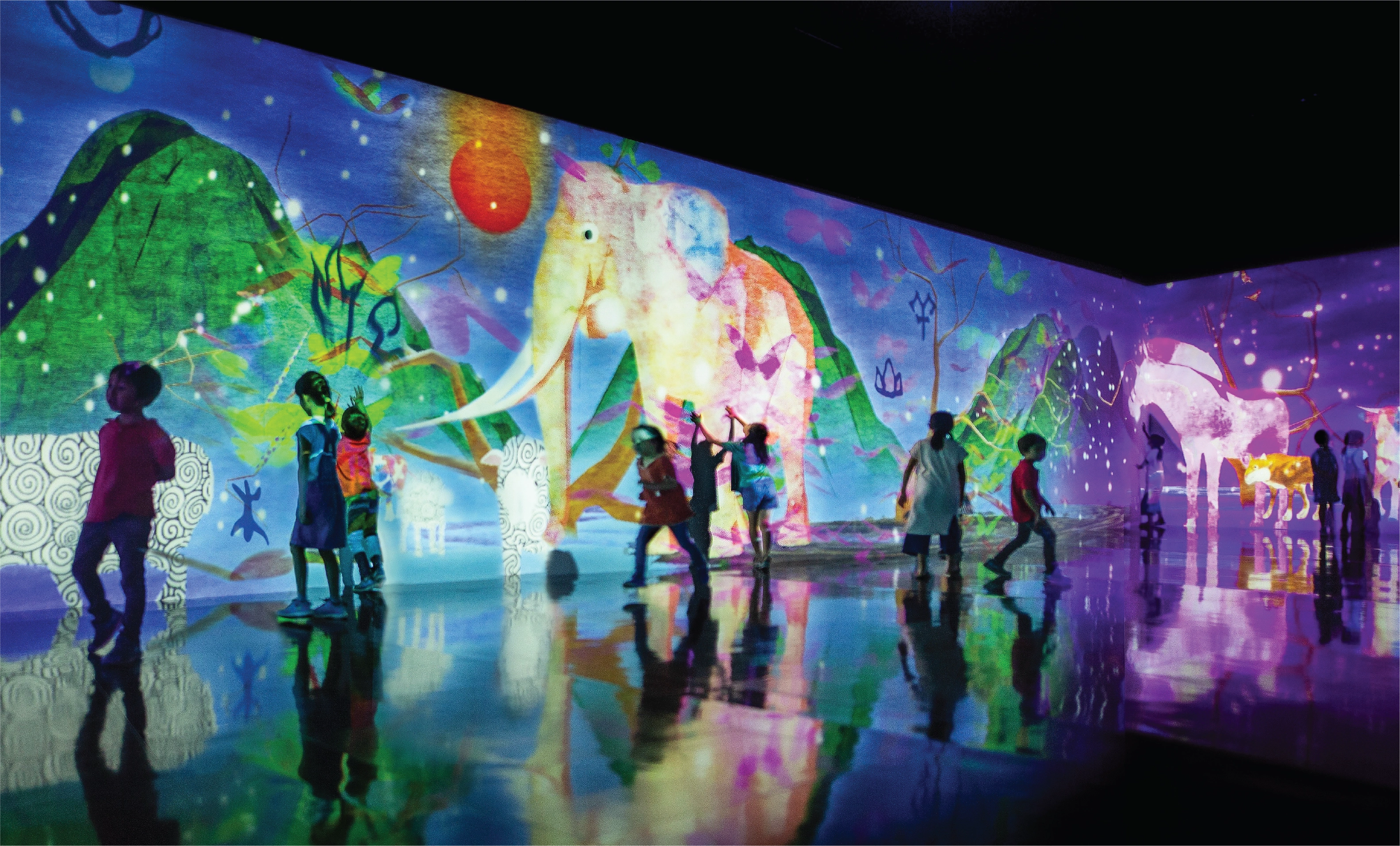 Immersive Visual